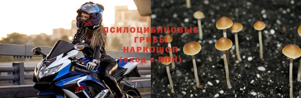 дурь Кодинск