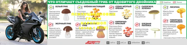 гидропоника Козловка
