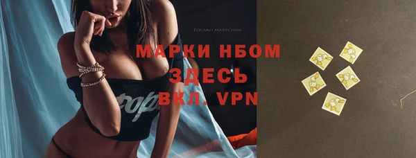 амф Козельск