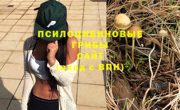 гидропоника Козловка