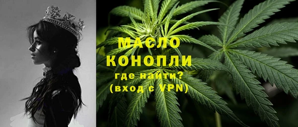 амф Козельск