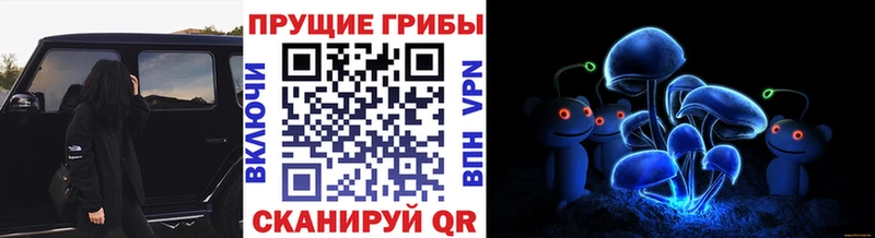 цены   сайты даркнета клад  hydra сайт  Псилоцибиновые грибы Psilocybe  Спасск-Рязанский 