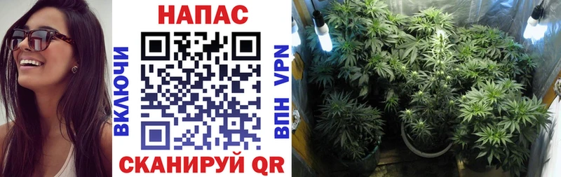 Конопля SATIVA & INDICA  Спасск-Рязанский 